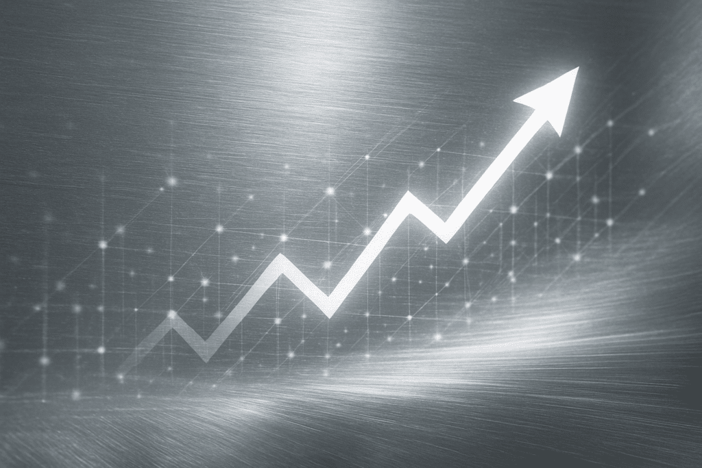 Hopean hintakehitystä ja markkinanousua kuvaava havainnekuva